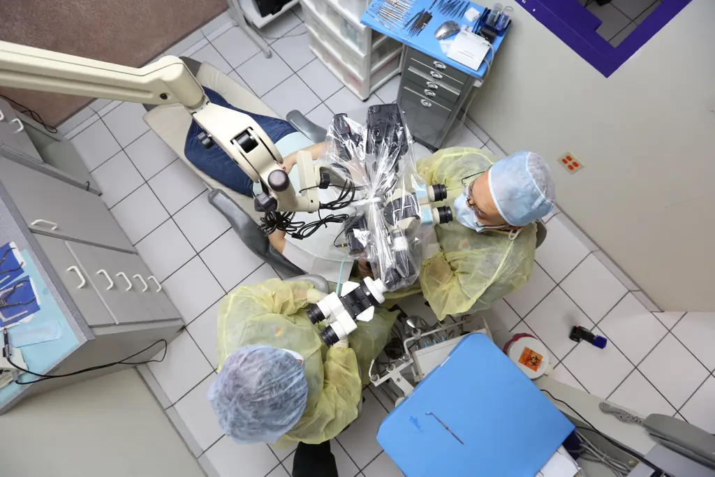 Doctor and assistant working together with a dual surgical microscope, seen from above
